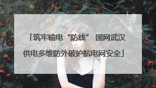 筑牢输电“防线” 国网武汉供电多维防外破护航电网安全