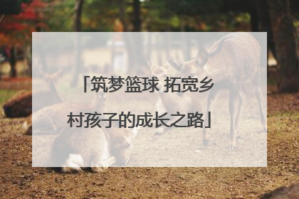 筑梦篮球 拓宽乡村孩子的成长之路