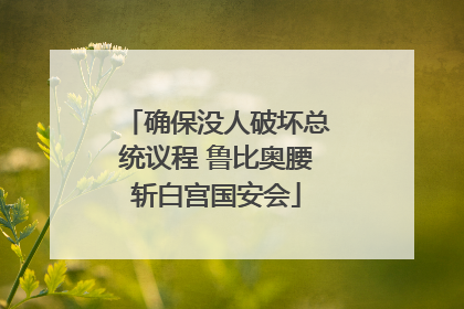 确保没人破坏总统议程 鲁比奥腰斩白宫国安会