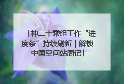 神二十乘组工作“进度条”持续刷新｜解锁中国空间站周记