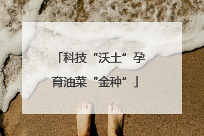 科技“沃土”孕育油菜“金种”