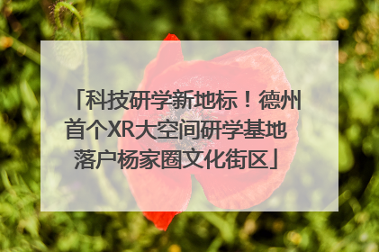 科技研学新地标！德州首个XR大空间研学基地落户杨家圈文化街区