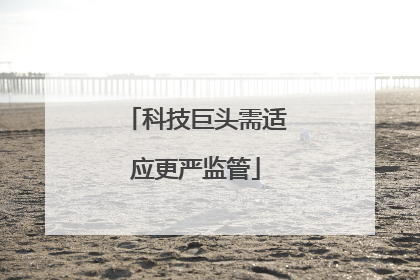 科技巨头需适应更严监管