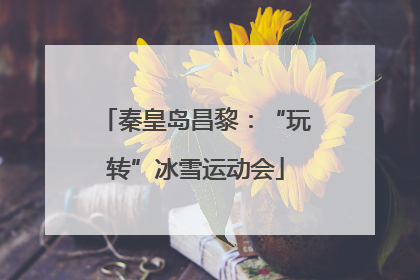 秦皇岛昌黎：“玩转”冰雪运动会
