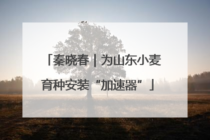 秦晓春｜为山东小麦育种安装“加速器”