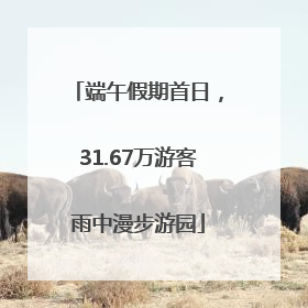 端午假期首日，31.67万游客雨中漫步游园