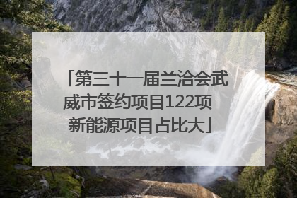 第三十一届兰洽会武威市签约项目122项 新能源项目占比大