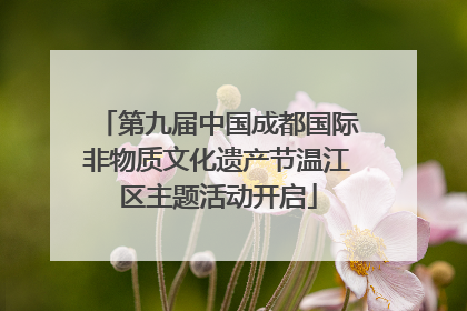 第九届中国成都国际非物质文化遗产节温江区主题活动开启