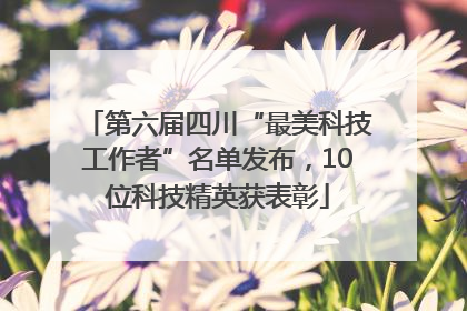 第六届四川“最美科技工作者”名单发布，10位科技精英获表彰