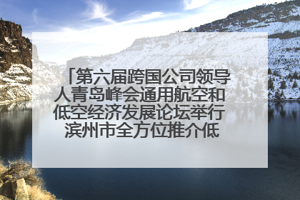 第六届跨国公司领导人青岛峰会通用航空和低空经济发展论坛举行 滨州市全方位推介低空经济发展优势