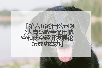 第六届跨国公司领导人青岛峰会通用航空和低空经济发展论坛成功举办
