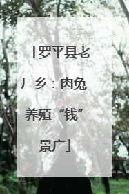 罗平县老厂乡：肉兔养殖“钱”景广