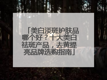 美白淡斑护肤品哪个好？十大美白祛斑产品，去黄提亮品牌选购指南
