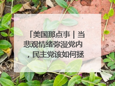 美国那点事｜当悲观情绪弥漫党内，民主党该如何拯救自己？