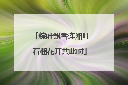 粽叶飘香连湘吐 石榴花开共此时