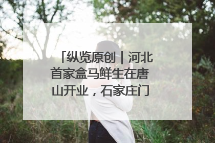 纵览原创｜河北首家盒马鲜生在唐山开业，石家庄门店预计8月开业