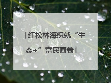 红松林海织就“生态+”富民画卷