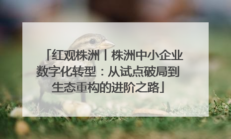 红观株洲丨株洲中小企业数字化转型：从试点破局到生态重构的进阶之路