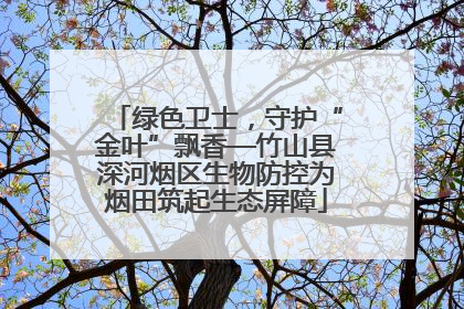 绿色卫士，守护“金叶”飘香—竹山县深河烟区生物防控为烟田筑起生态屏障