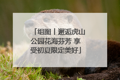 组图丨邂逅虎山公园花海芬芳 享受初夏限定美好
