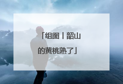 组图丨韶山的黄桃熟了