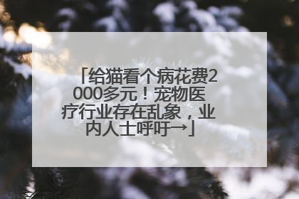 给猫看个病花费2000多元！宠物医疗行业存在乱象，业内人士呼吁→