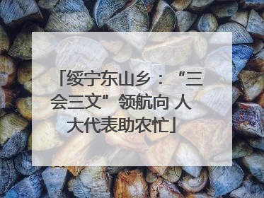 绥宁东山乡：“三会三文”领航向 人大代表助农忙
