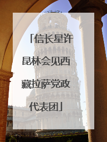 信长星许昆林会见西藏拉萨党政代表团
