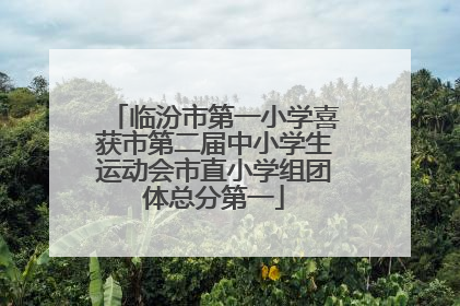 临汾市第一小学喜获市第二届中小学生运动会市直小学组团体总分第一