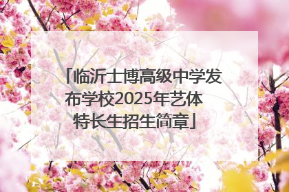 临沂士博高级中学发布学校2025年艺体特长生招生简章