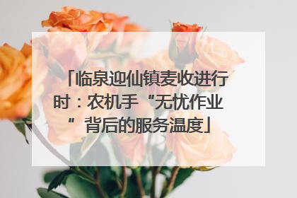 临泉迎仙镇麦收进行时：农机手“无忧作业”背后的服务温度