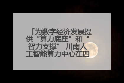 为数字经济发展提供“算力底座”和“智力支撑” 川南人工智能算力中心在四川泸州启动