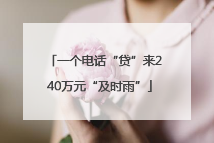 一个电话“贷”来240万元“及时雨”