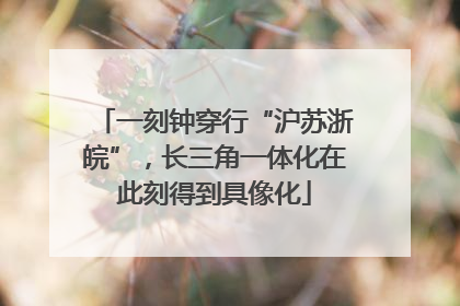 一刻钟穿行“沪苏浙皖”，长三角一体化在此刻得到具像化