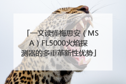 一文读懂梅思安（MSA）FL5000火焰探测器的多重革新性优势