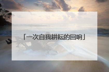 一次自我耕耘的回响