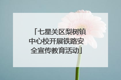 七星关区梨树镇中心校开展铁路安全宣传教育活动
