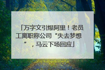 万字文引爆阿里！老员工离职称公司“失去梦想”，马云下场回应