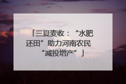 三夏麦收：“水肥还田”助力河南农民“减投增产”