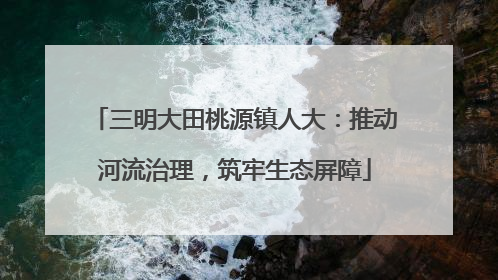 三明大田桃源镇人大：推动河流治理，筑牢生态屏障