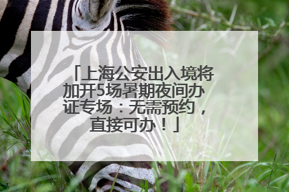 上海公安出入境将加开5场暑期夜间办证专场：无需预约，直接可办！