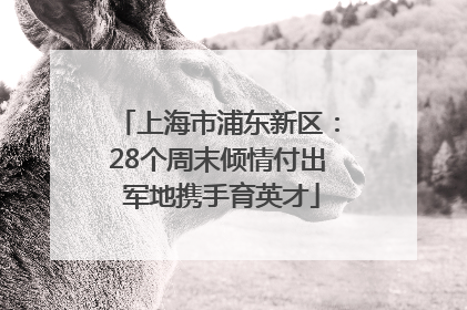 上海市浦东新区：28个周末倾情付出 军地携手育英才