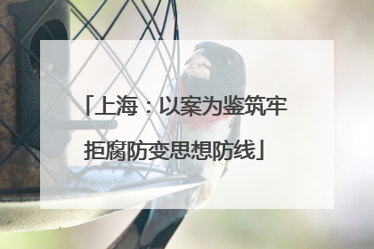 上海：以案为鉴筑牢拒腐防变思想防线