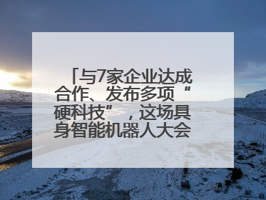 与7家企业达成合作、发布多项“硬科技”，这场具身智能机器人大会蓉城启幕
