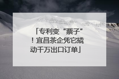 专利变“票子”！宜昌茶企凭它撬动千万出口订单