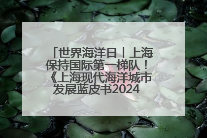 世界海洋日丨上海保持国际第一梯队！《上海现代海洋城市发展蓝皮书2024评估报告》发布