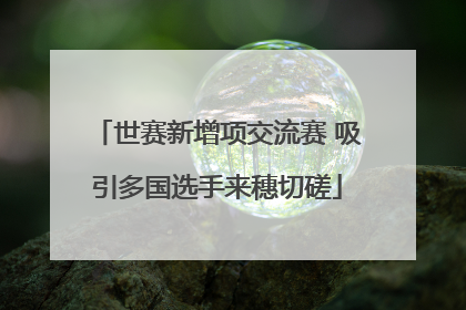 世赛新增项交流赛 吸引多国选手来穗切磋