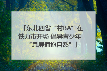 东北四省“村BA”在铁力市开场 倡导青少年“息屏拥抱自然”