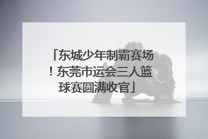 东城少年制霸赛场！东莞市运会三人篮球赛圆满收官
