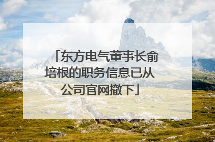 东方电气董事长俞培根的职务信息已从公司官网撤下